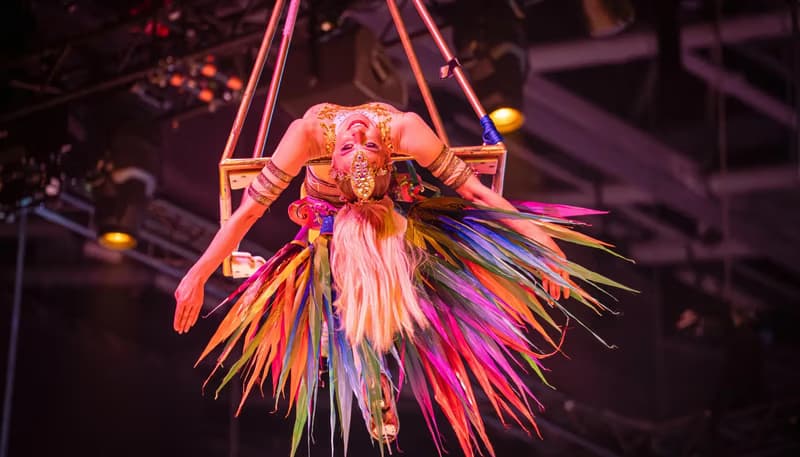 Elementary school´s circus project week