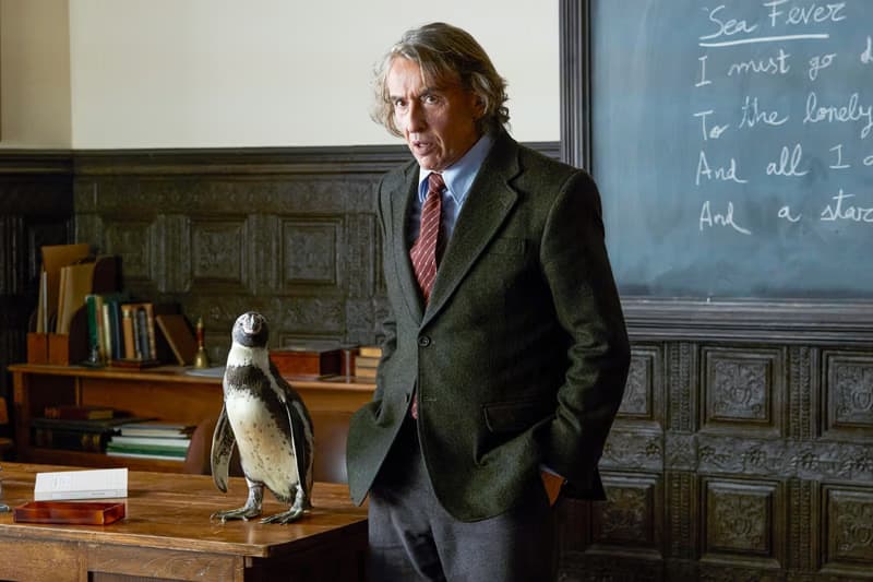 The penguin of my life